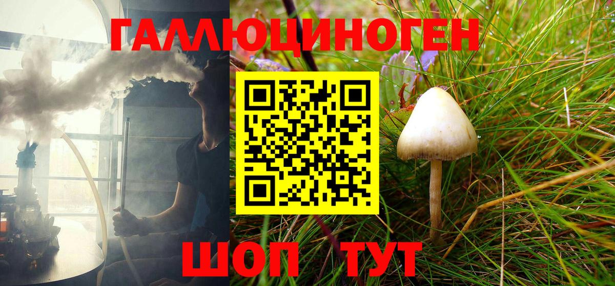 Асино  Галлюциногенные грибы GOLDEN TEACHER  Вход с VPN  Галлюциногенные грибы Psilocybe 