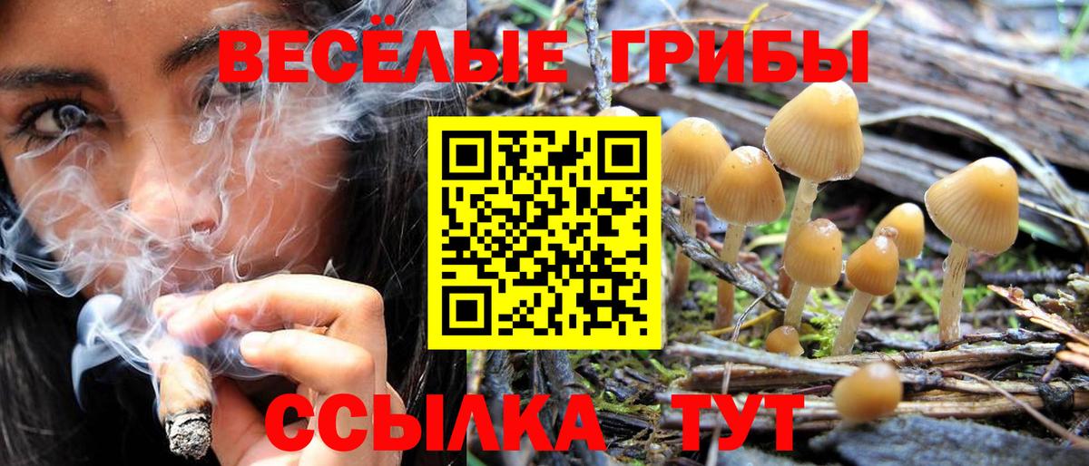 Галлюциногенные грибы Magic Shrooms Асино